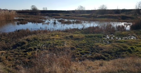 Ökológiai kutatás, fejlesztés -